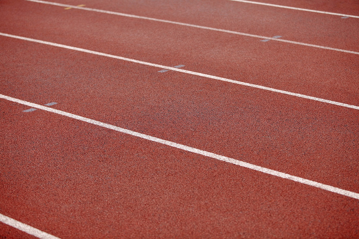 The Track Meet
