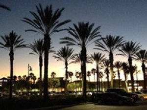 MFF Road Trip 2014 - Southern California
