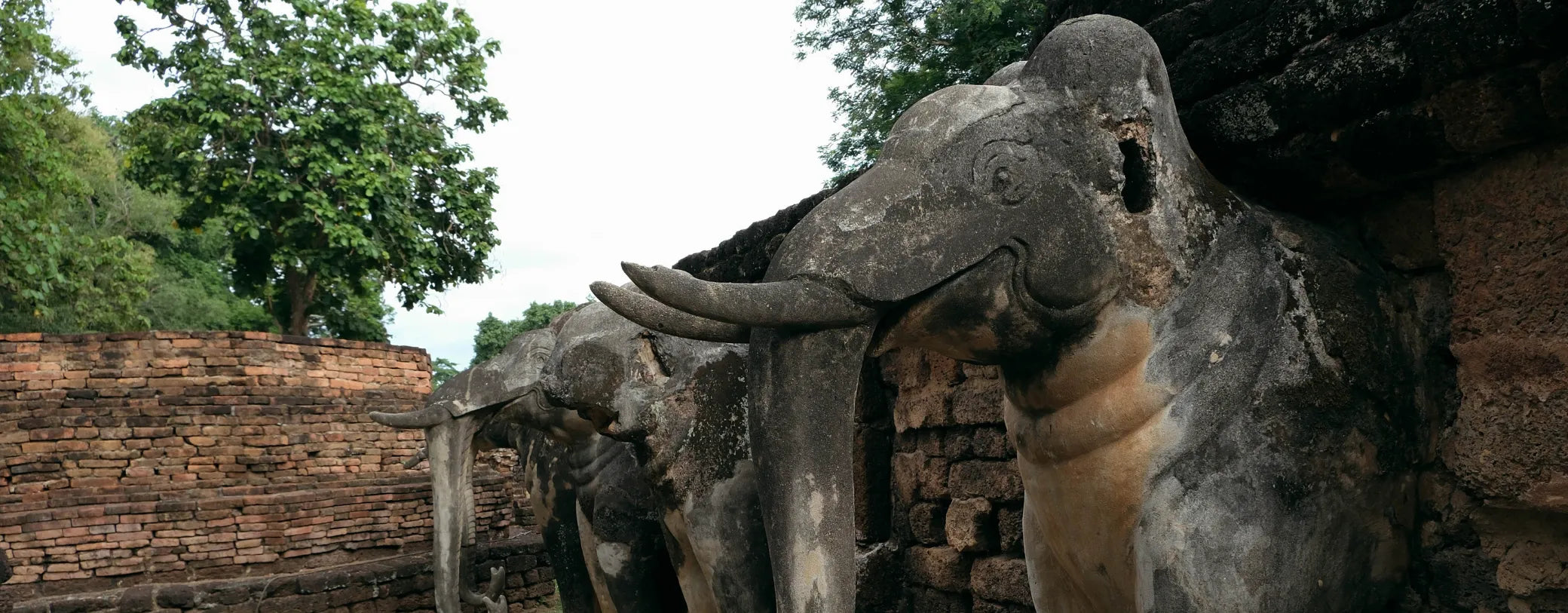 elephant statues in a Cambodian tourist spot reposted by Made for Freedom