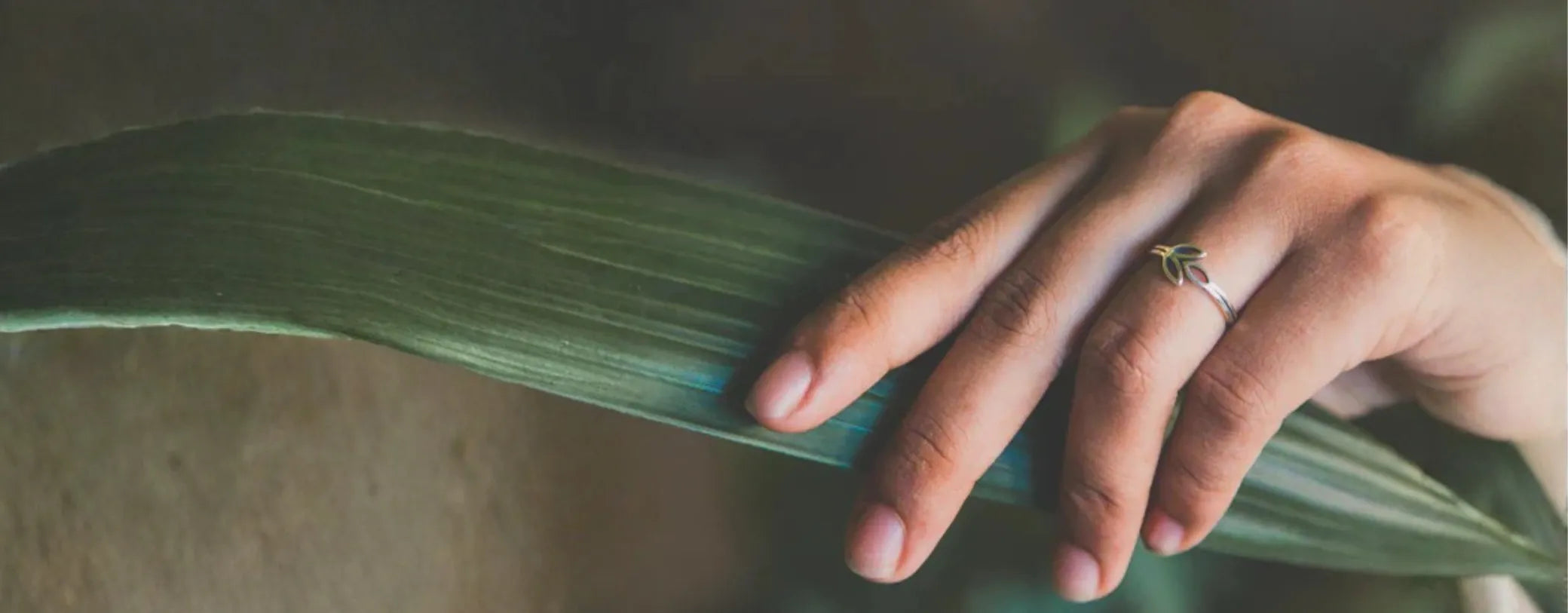 a model's hand wearing Made for Freedom's Olive Branch Ring while holding a leaf