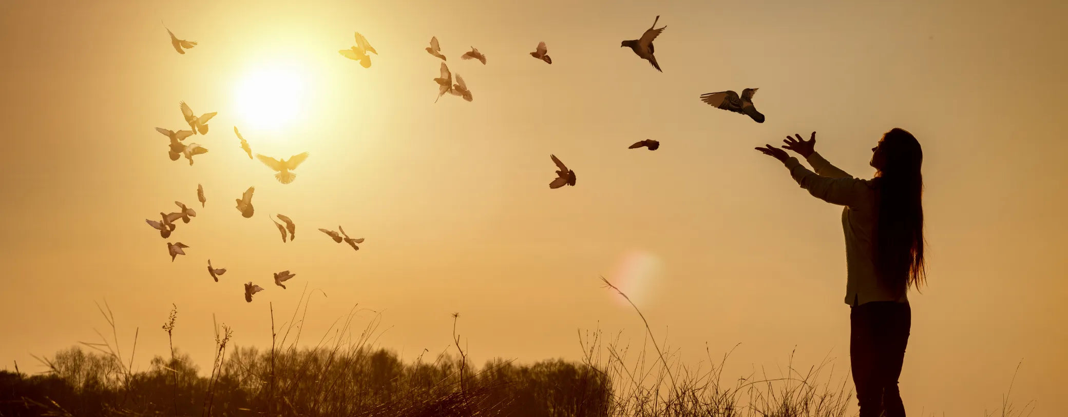 a woman's silhouette with her hands held up to a flock of birds reposted by Made for Freedom 
