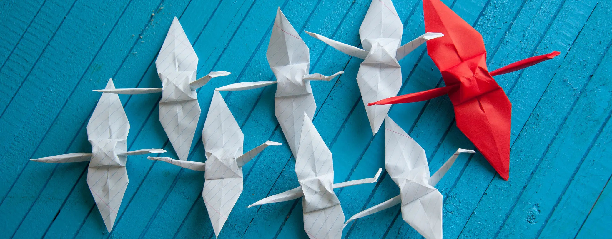 a group of white paper cranes following one red paper crane reposted by Made for Freedom