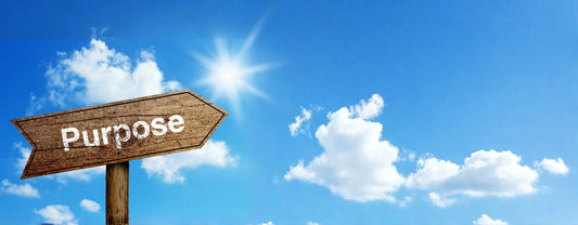 a wooden sign with the text "purpose" with the blue sky as its background reposted by Made for Freedom