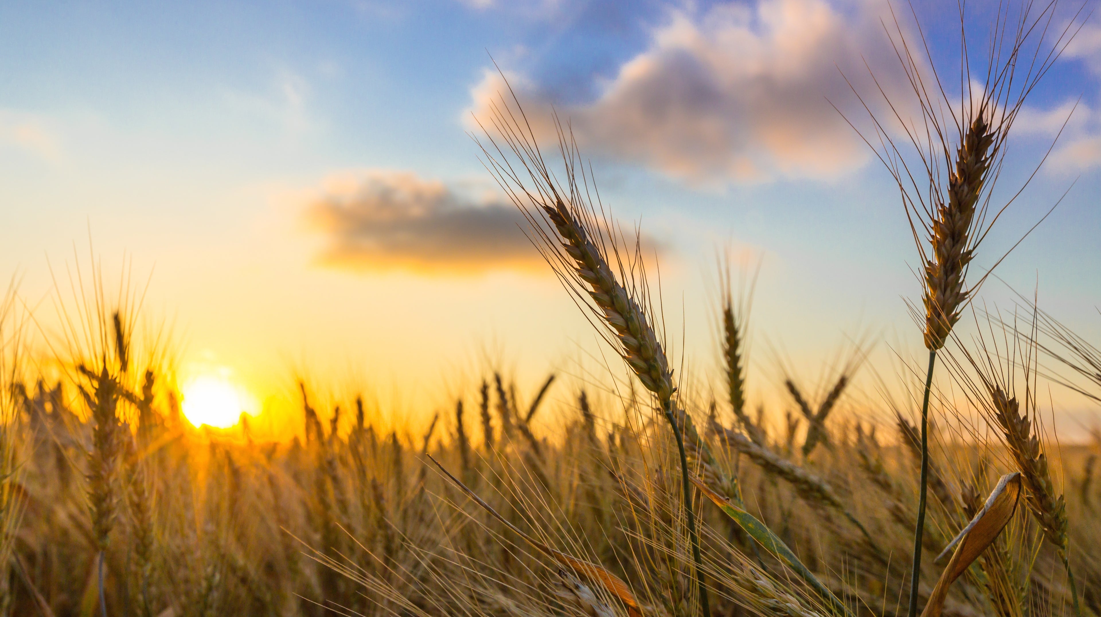 Monday Motivation: A Journey of Forgiveness and Healing