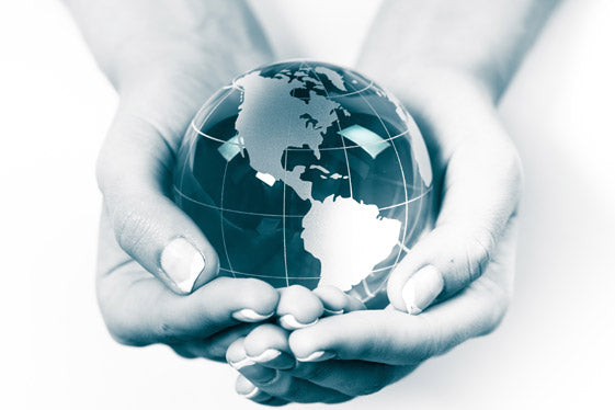 The Business Solution to Global Social Issues