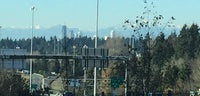 MFF Road Trip 2014 - Washington