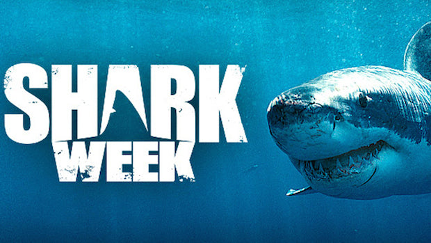 What Does Shark Week Have to Do with Sex Trafficking?