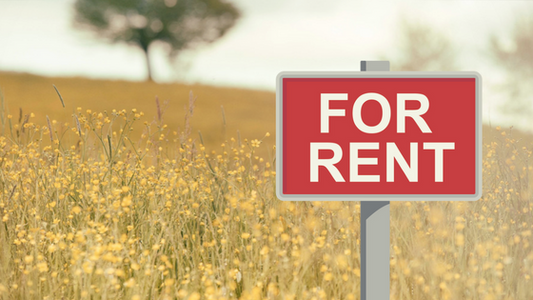 When Women Become Rental Property