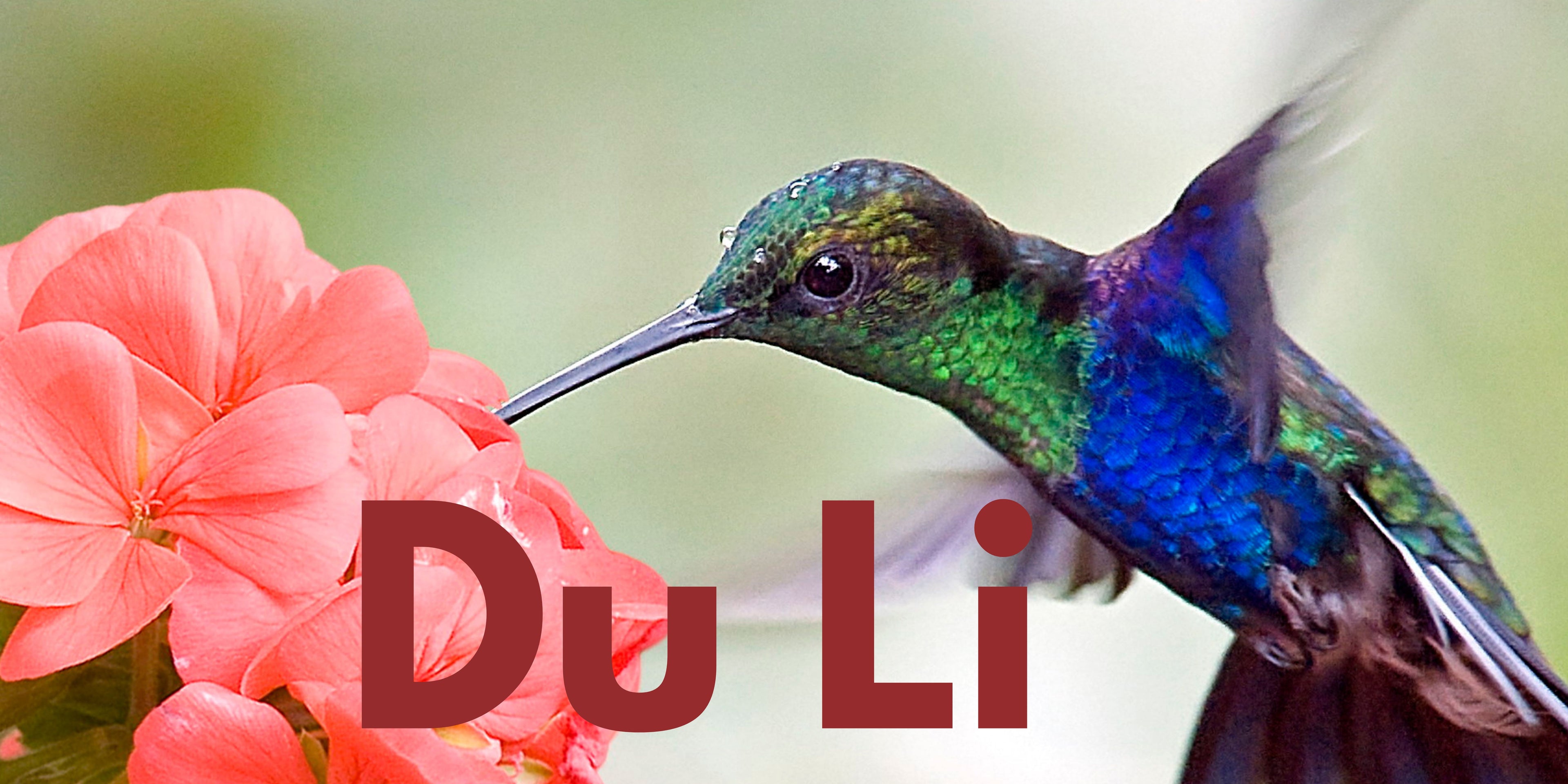Du Li - SOR Banner.jpg__PID:389681d3-ceea-40b0-9fd4-3b207d32f706