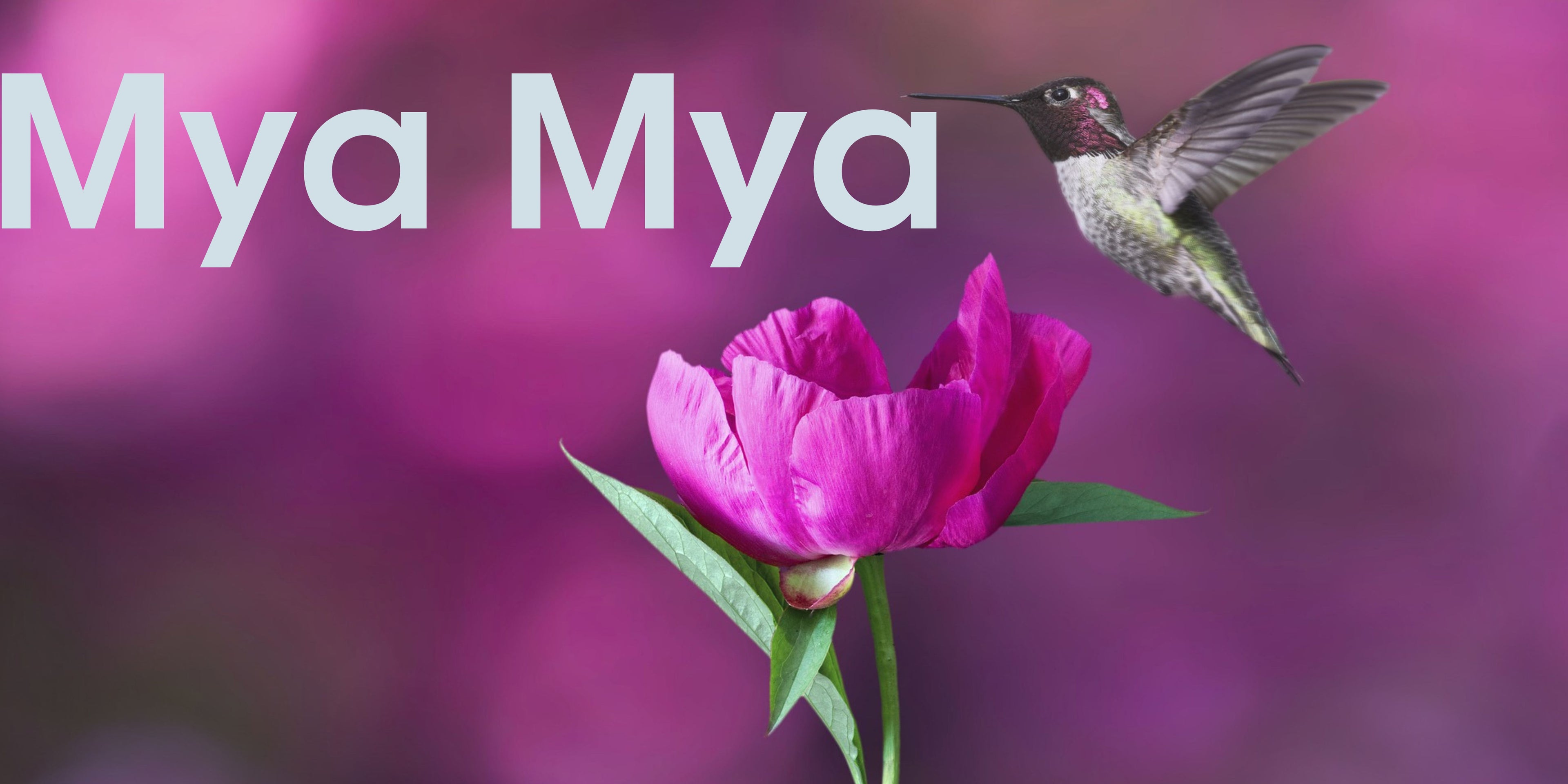 Mya Mya - SOR Banner.jpg__PID:60ae4458-7d60-48ee-9913-704790b77046