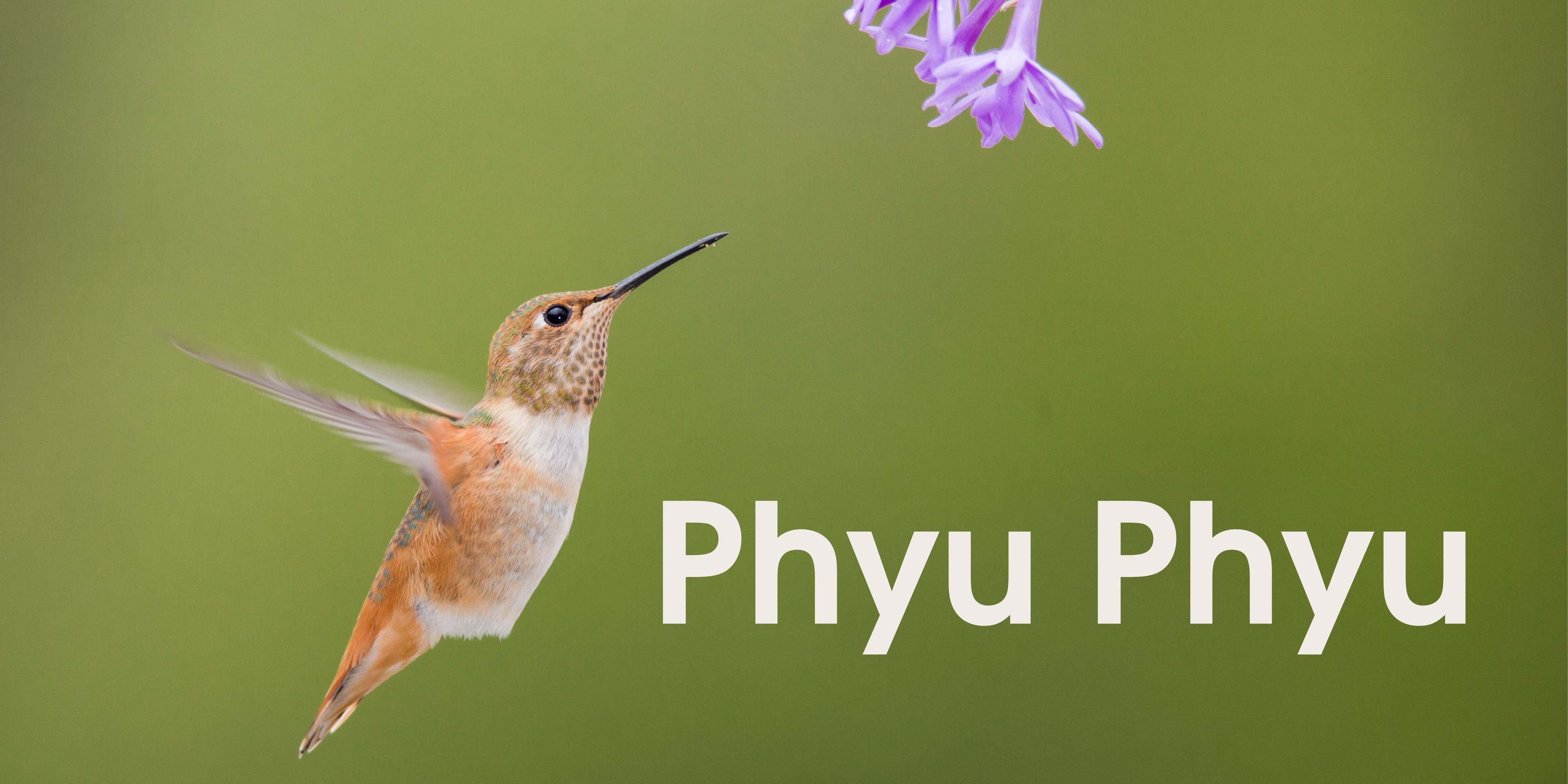 Phyu Phyu - SOR Banner.jpg__PID:29d0c9cc-da58-4f87-bb30-d46641483831