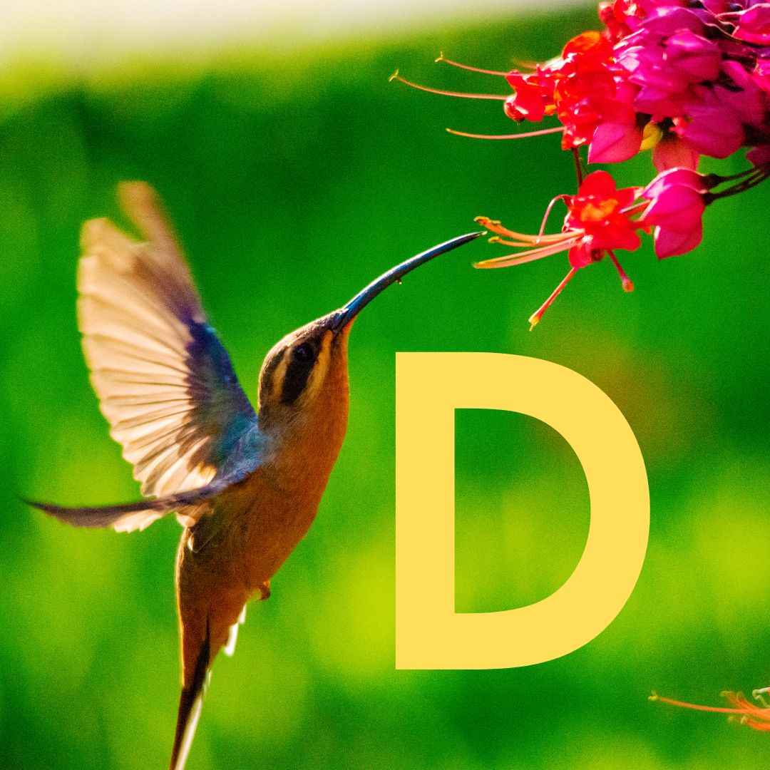 SOR Thumbnail - David.jpg__PID:254ff714-c938-4d4b-8a72-3d7f82d036b0