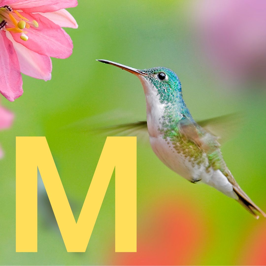 SOR Thumbnail - Myat.jpg__PID:259cb022-d273-46b3-81fd-2720178662e1