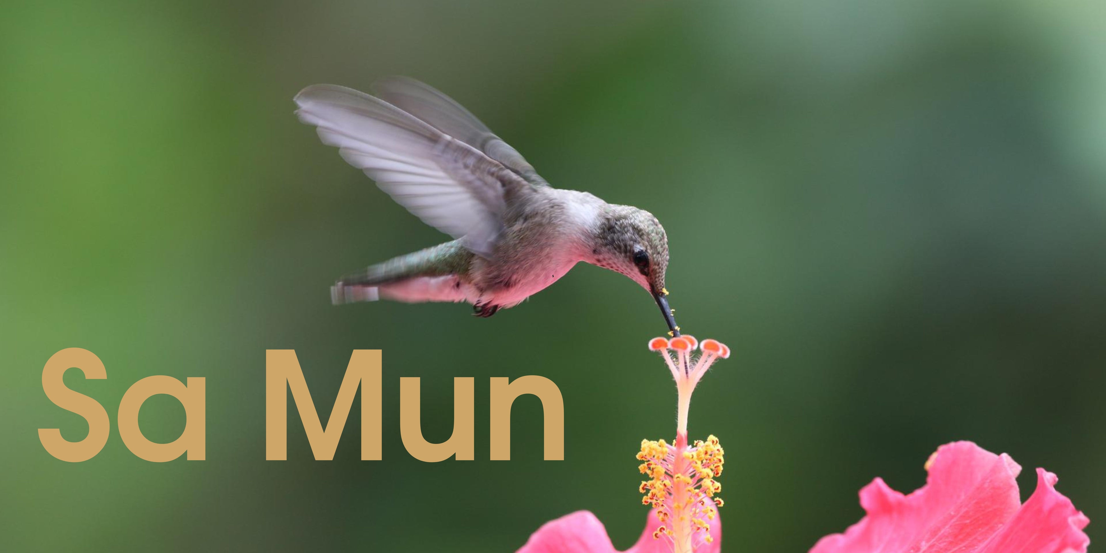 Sa Mun - SOR Banner.jpg__PID:967aeafa-94df-4222-bf1d-3ac89af6a5f1