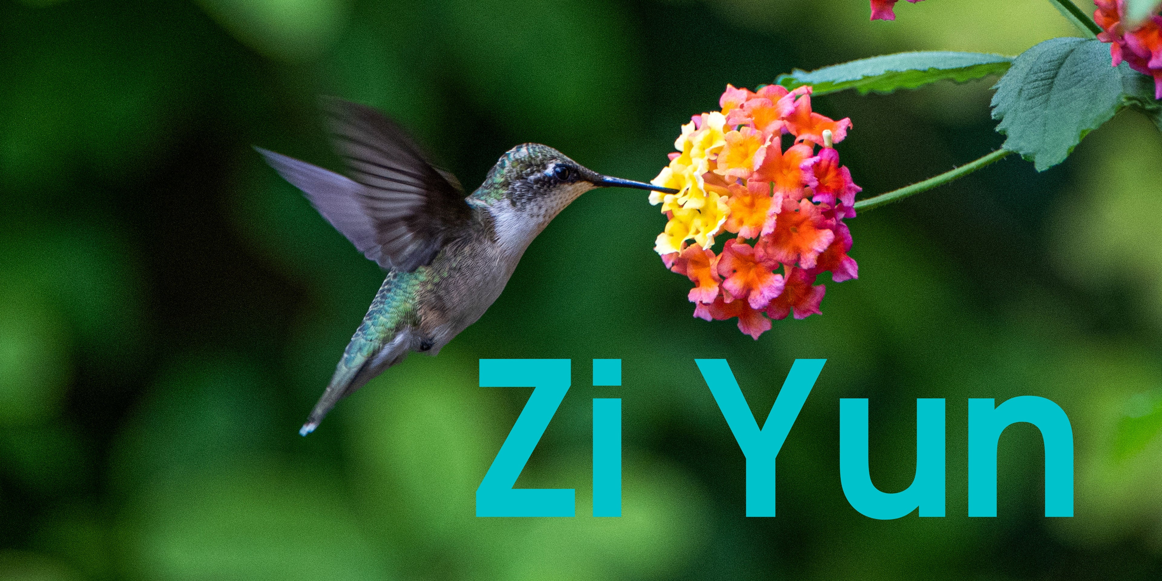 Zi Yun - SOR Banner.jpg__PID:574e01cd-87cb-45c3-8f96-7a528c55acf1
