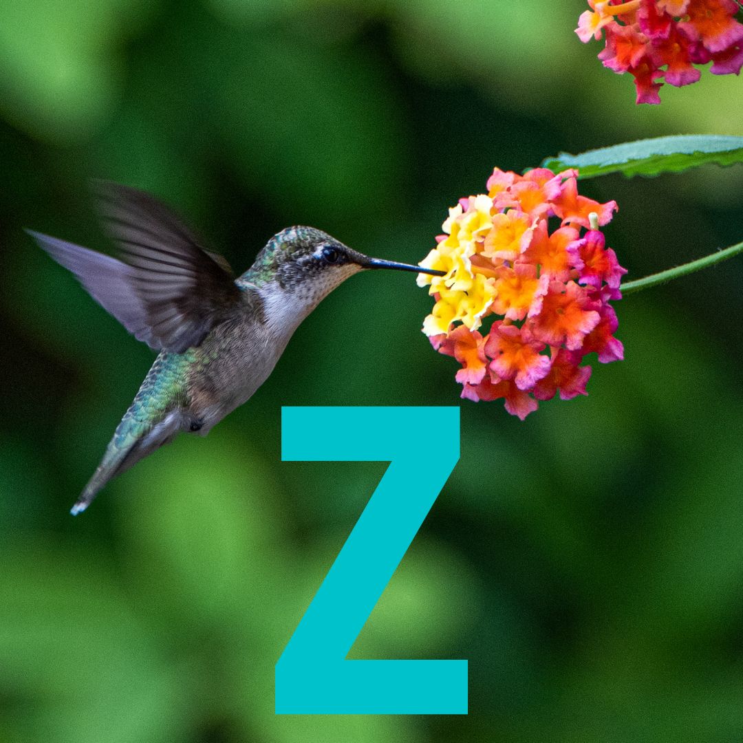 Zi Yun Thumbnail.jpg__PID:2ceb502a-3437-4787-808f-d9b6aa921adf