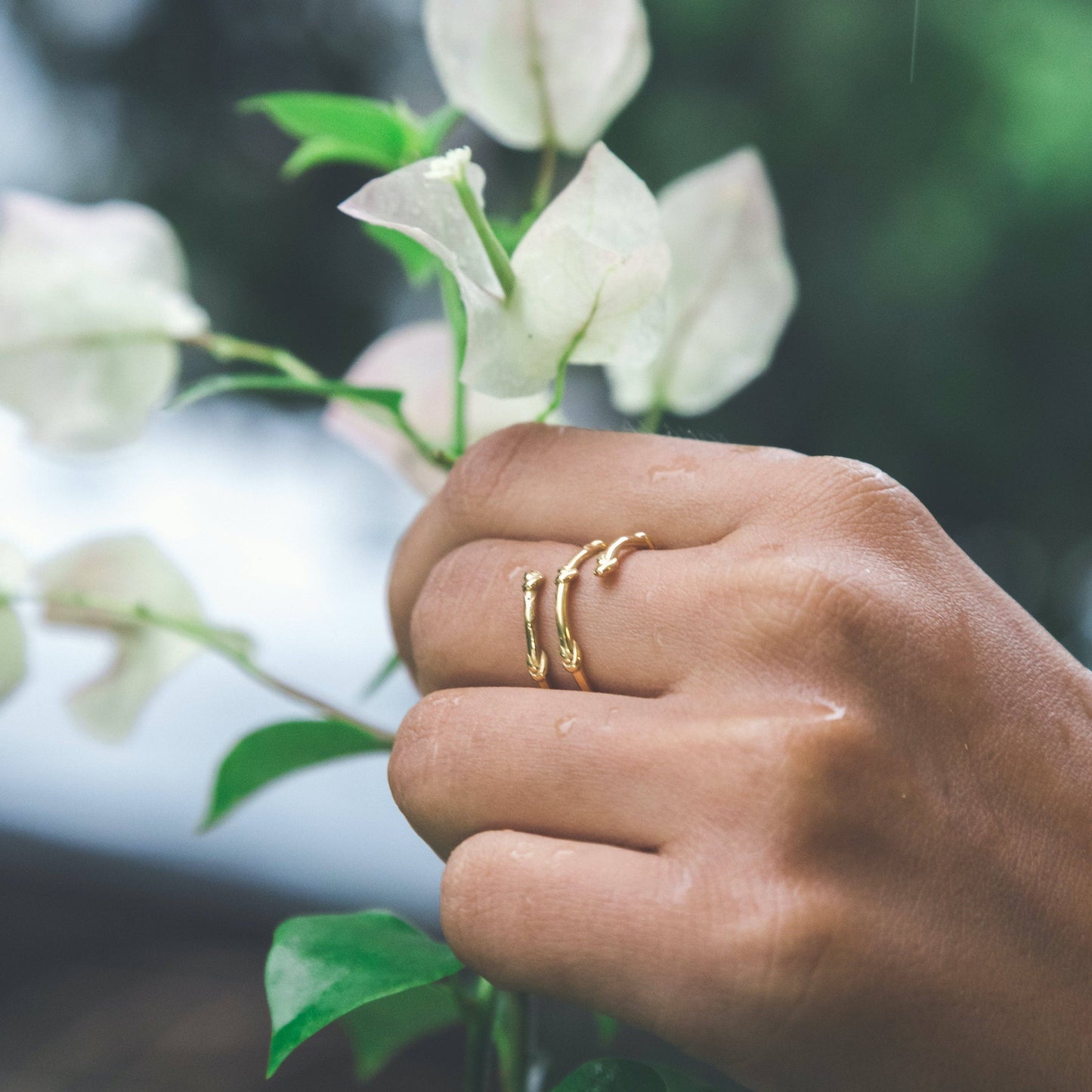 Knots of Freedom Ring